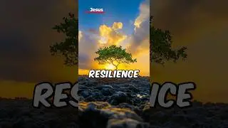 Resilience EXPERT Shares Top Prayer
