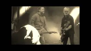 The WildBoys 