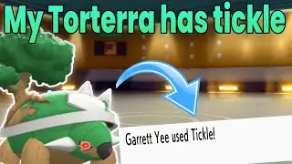 So I brought a Tickle Torterra to this FFA...(BDSP FFA)