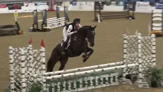 Reloaded in the Eventing Finale at the 2018 RRP Thoroughbred Makeover