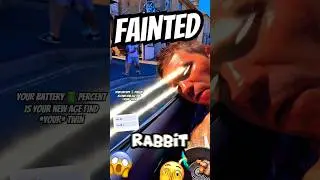 Miss Rabbit Has Fainted Miss Rabbit Has Fainted Again Meme Fun! 🐰 😂🐰 Funny Peppa Pig characters meme