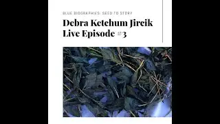 Blue Biographies Episode #3 with Debra Ketchum Jircik