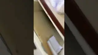 shaikh zayed hospital lahoresheikh zayed hospital lahore admissiontiktok trending songs