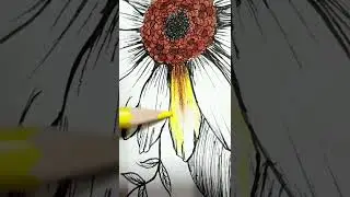 sunflower coloring, my fav😍🤌. #shorts #short #howtodraw #howtocoloring #sunflower #drawing