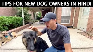 Tips For New Dog Owners | Hindi Vlog | Indian Vlogger | This Indian