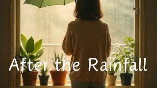 After the Rainfall｜Windows Still Fog