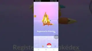 eveloving Buizel