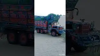 ڇڪڙو گاڏي. ٿر ريگستان جو بادشاه