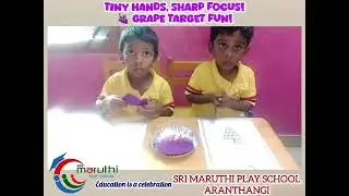 TINY HANDS SHARP FOCUS I GRAPES TARGET FUN I ACTIVITY I HAND EYE CO-ORDINATION