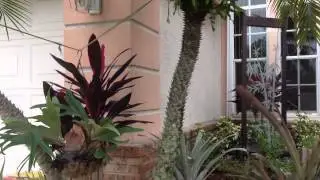 North Naples, FL Landscape at The Orchard- palms, plants, mulch