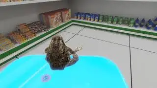 Poke breaks the language barrier with russian VR chatter
