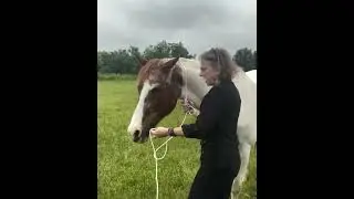 Простая веревочная недоуздка