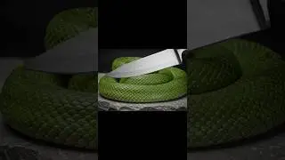 green snack 🐍🐍🐍 cut #shortsfeed #ai #cut #amezing #kdrama #viralsnake #trend