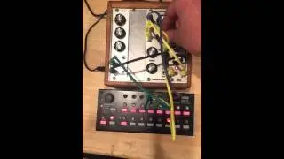 Pittsburgh Simple System with ADSR & Verbtronic【Wurly's!モジュラーシンセ動画】