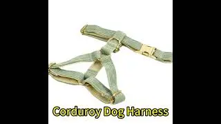 Green Corduroy Dog collar leash and harness