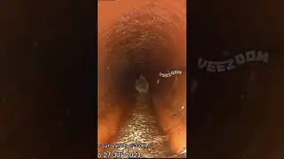 Robotic Sewer Inspection Reveals Curious Duck's Journey