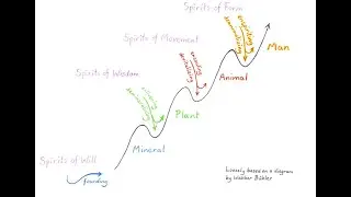 The Kingdoms of Nature