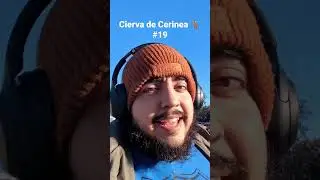 La cierva de Cerinea | #hercules #mitologia #mitologiagriega #datoscuriosos #random #cerinea #ciervo