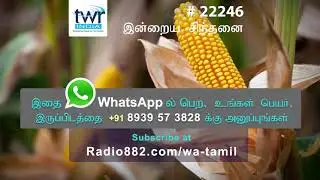 Corn 🌽 fertilizer # Trending video🎥 #
