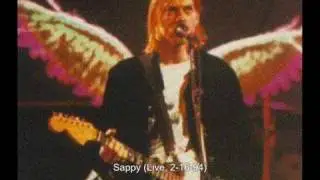 Nirvana - Sappy (Live, 2-16-1994)