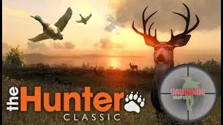 Começano do zero no theHunter Classic fizemos uma caçada por Whitehart Island