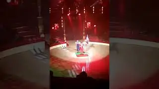 Bouglione Winter Circus Show