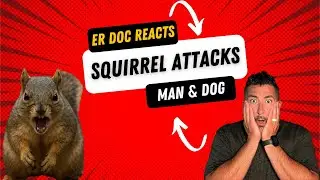 A Squirrel Attacks a Man AND His Dog?! ER Doctor Reacts + Rabies Facts You NEED to Know
