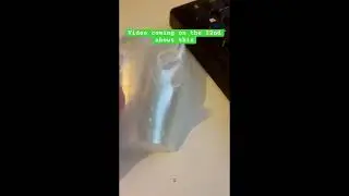 3D Printed Mouse Journey in Shorts
