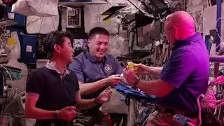 🥬 Cultivo de Lechuga Roja en el Espacio &ndash; Agricultura en Microgravedad 🌌 #nasa #espacio #viral