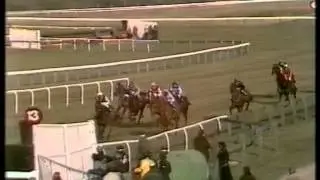 1985 Sun Alliance Chase
