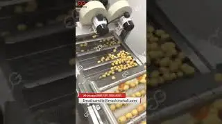 Fig Fruits Washing Drying And Grading Machine