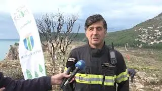 Po&scaron;umljavanje Golog brda - 