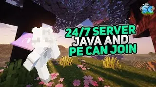 Public lifesteal  MINECRAFT SMP #mcpc #server