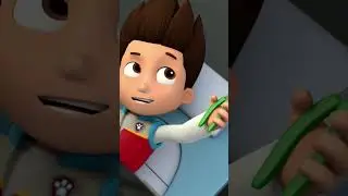 Chase is on the case! Puptacular contest! #PAWPatrol #Shorts