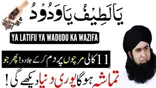 Ya Wadud Ya Latif Ka Powerful Wazifa 💫 | Rizq, Mohabbat Aur Rehmat Ka Amal | Dr Hamed Shafi bayan