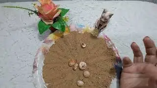 القراءة بالرمال والودع لبرج الحمل 🌺🌺🌺