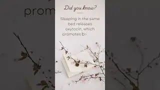 Sleeping in the same bed releases oxytocin, which promotes bonding and trust.