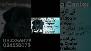 Army dog center pakistan #youtube #youtubeshorts #ytshort