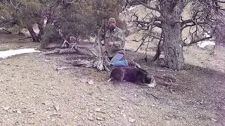 Bush craft food storage / cache and digging it up, Buried 6 years ago