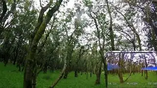rapidifire test
