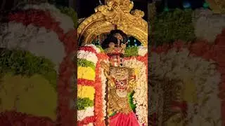 గోవిందరాజ స్వామి తెప్పోత్సవం day2#tirupati#ttd#tirumala#venkateswaraswamy#vishnu #shortvideo#shorts