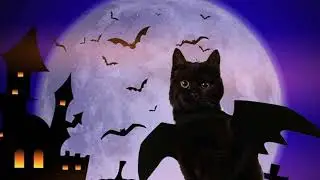 Bat Wings for Your Cat or Dog? Yes, Please! 🦇🐾