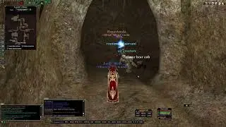 DAOC phoenix server  necro/theurgist duo  tepok mine