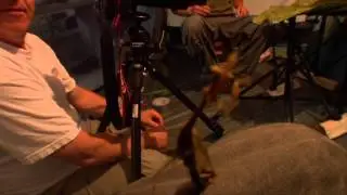 Preying Mantis Boxing