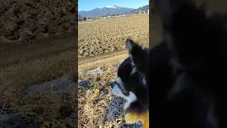 やま