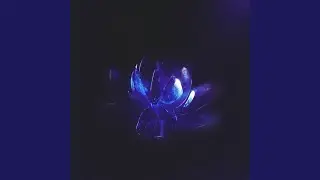 METAVERSE