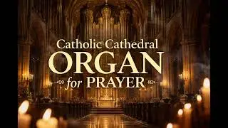 Catholic Cathedral Organ for Prayer & Inner Peace