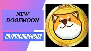 DogeMoon SCAM ALERT? Only For Those Who Don't Believe.