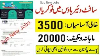 PAKISTAN SOFTWARE EXPORT BOARD PSEB INTERNSHIPS JOBS 2022 ONLINE APPLICATION  NEW JOBS IN PAKISTAN