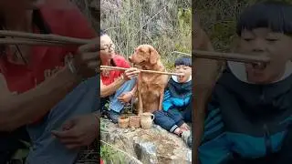 Experience the Joy of Raising a Dog in Rural India